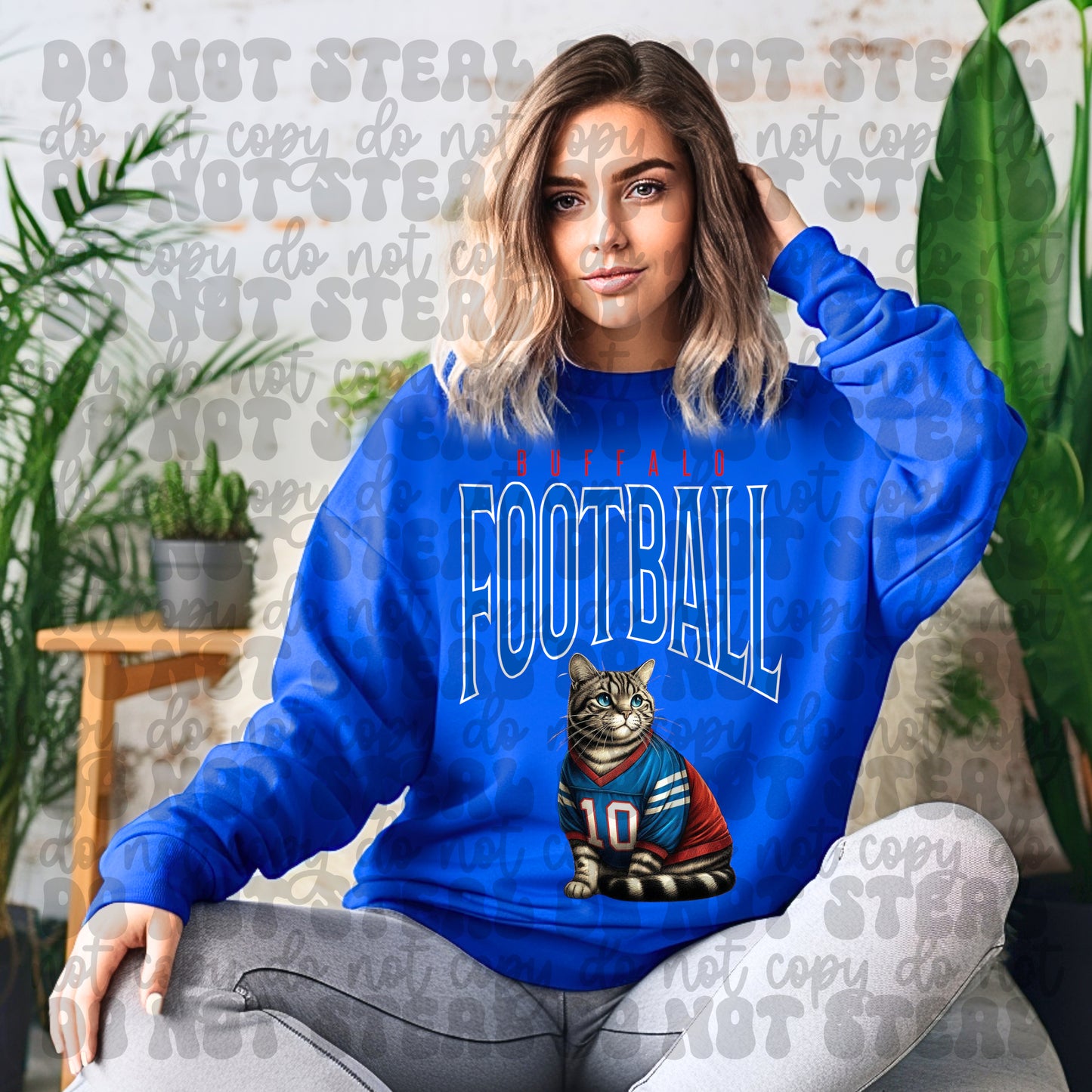 Buffalo Football Cat1