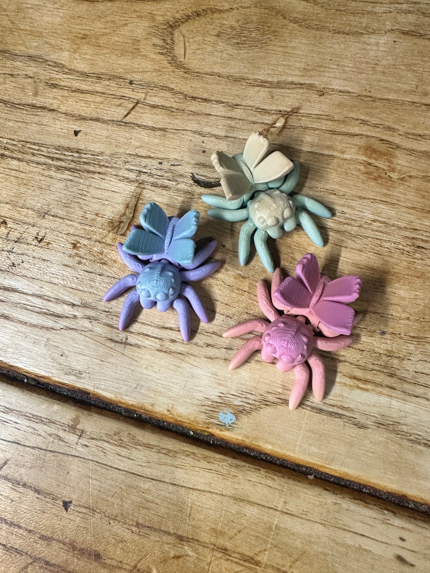Tiny Fairy Spider