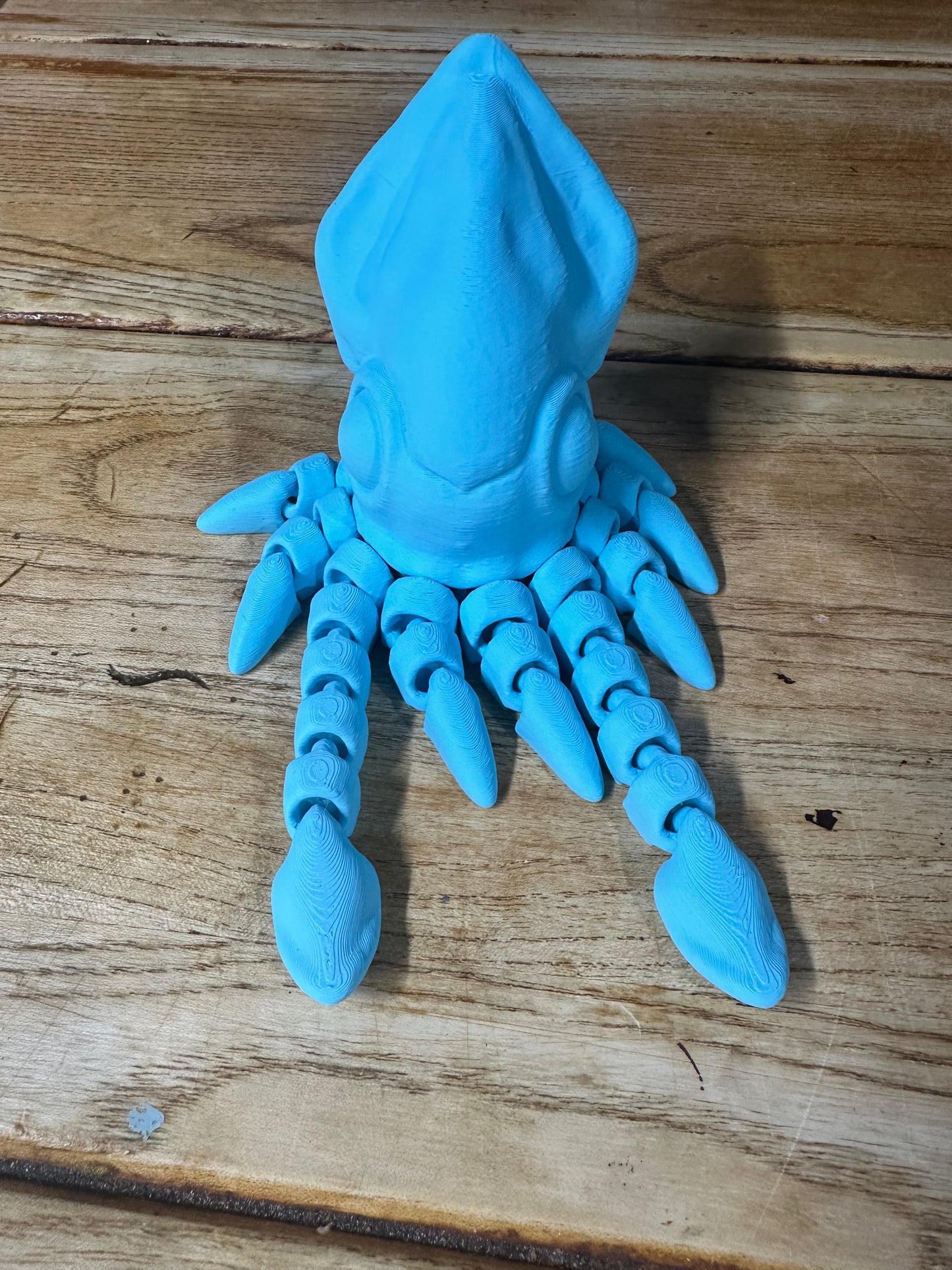 Tiny Squid