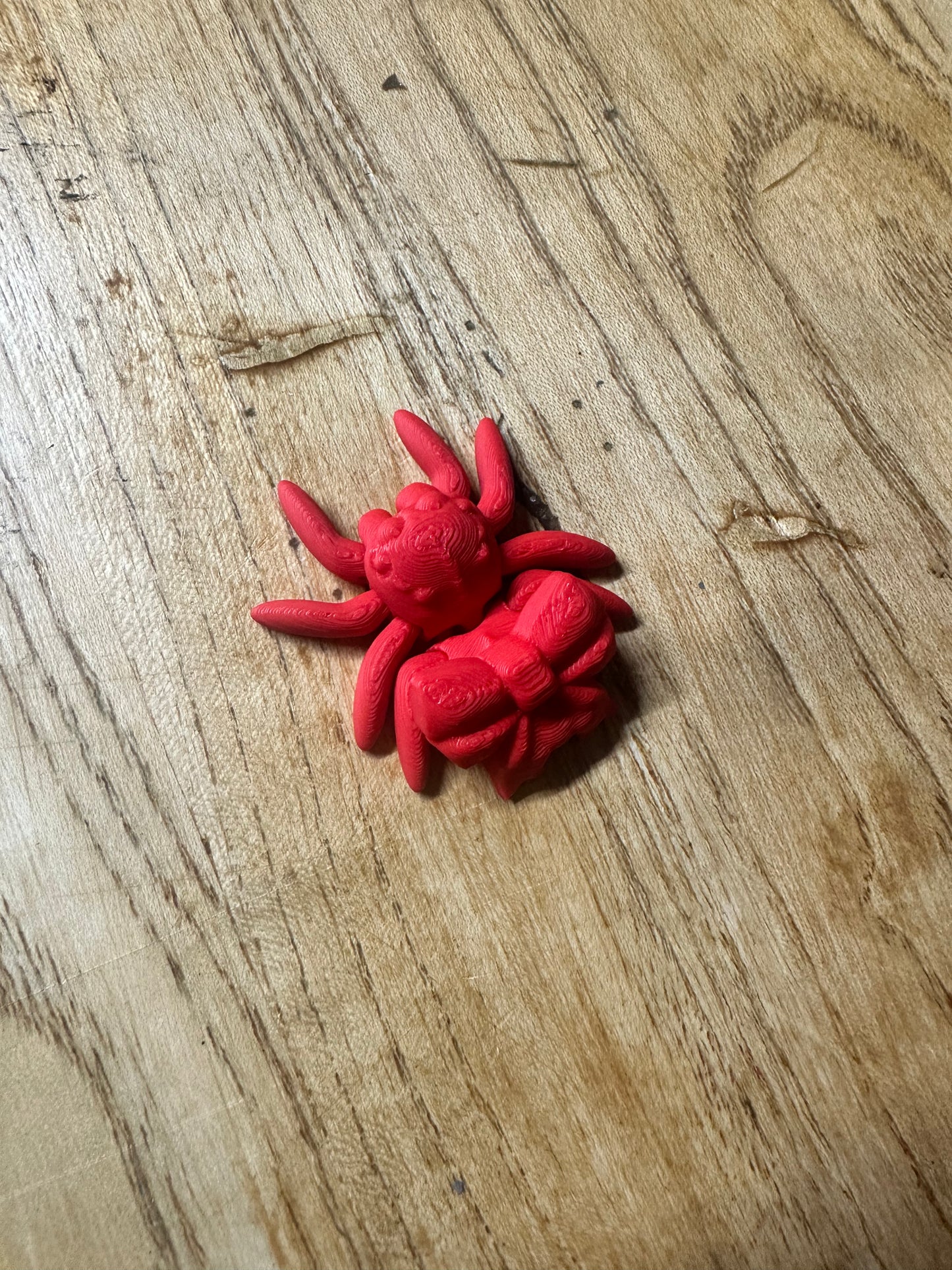 Tiny Bow Spider