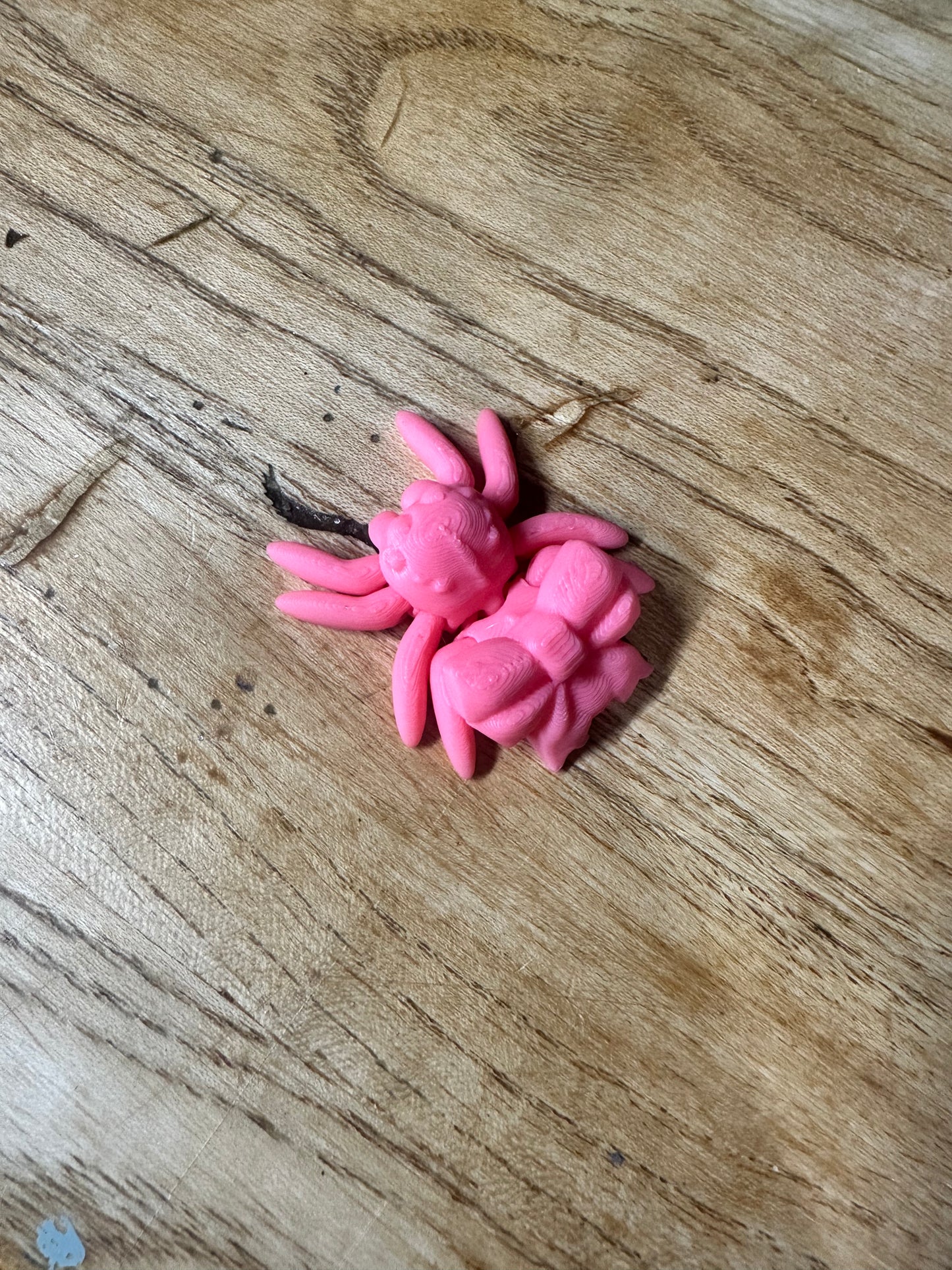 Tiny Bow Spider