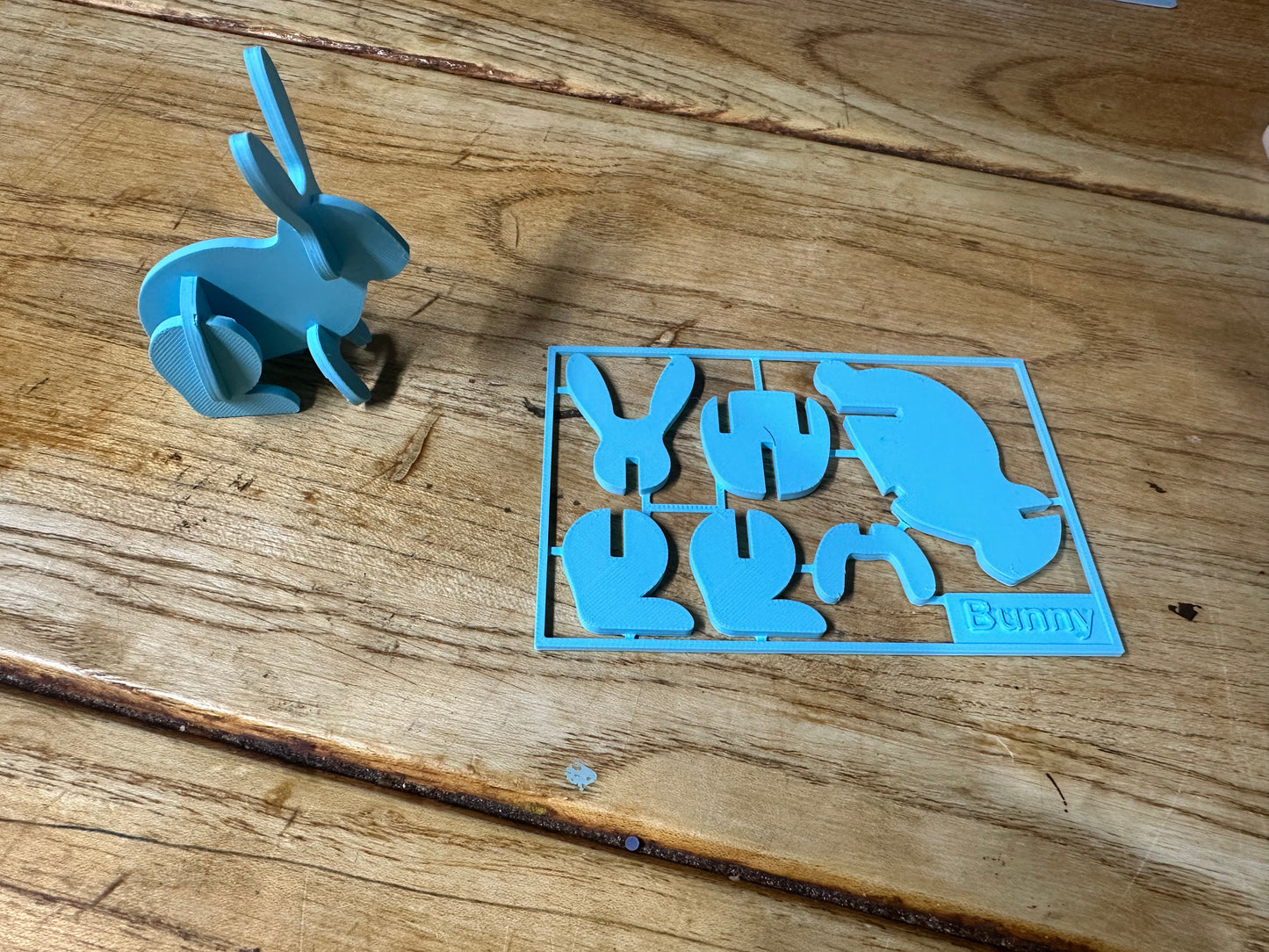 Bunny Card