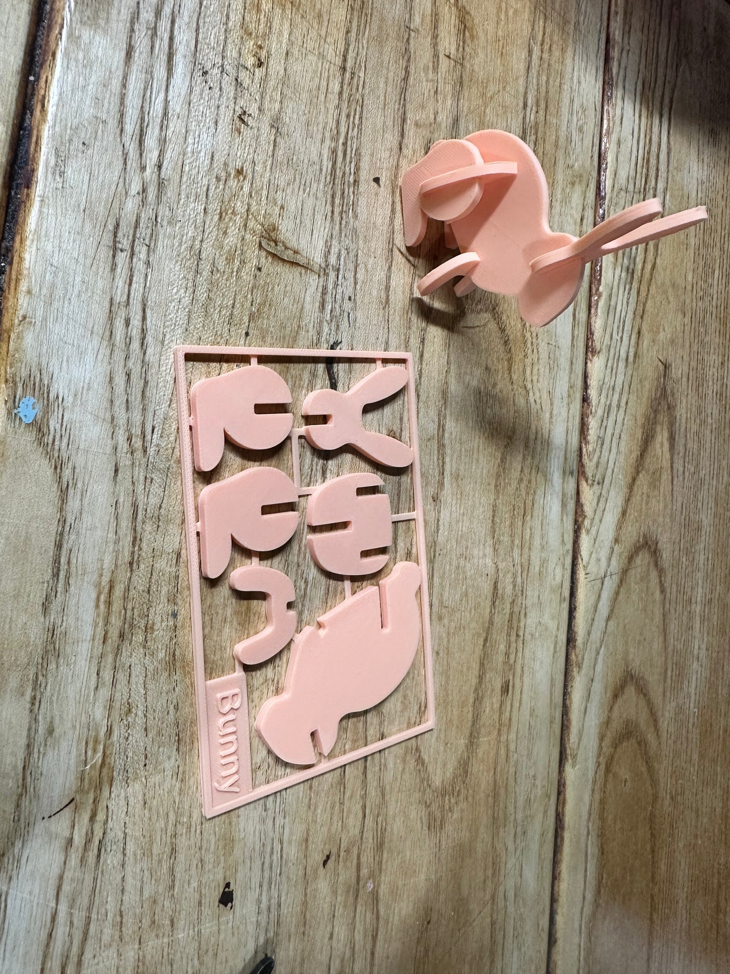 Bunny Card