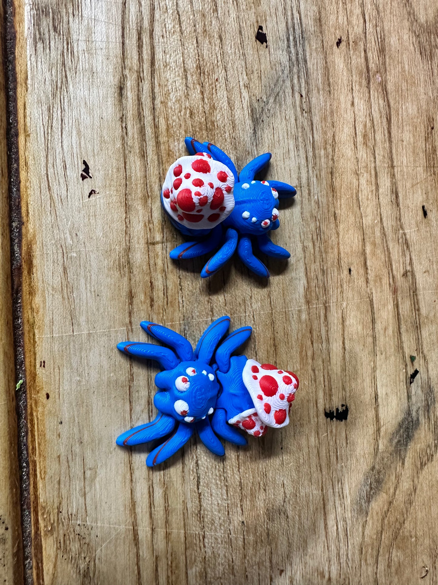 Patriotic Theme Tiny Spider