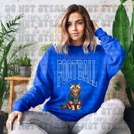 Buffalo Football Cat6