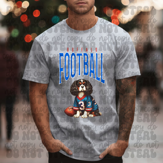 Buffalo Football King Charles