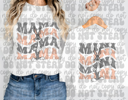 Looney Tunes Matching