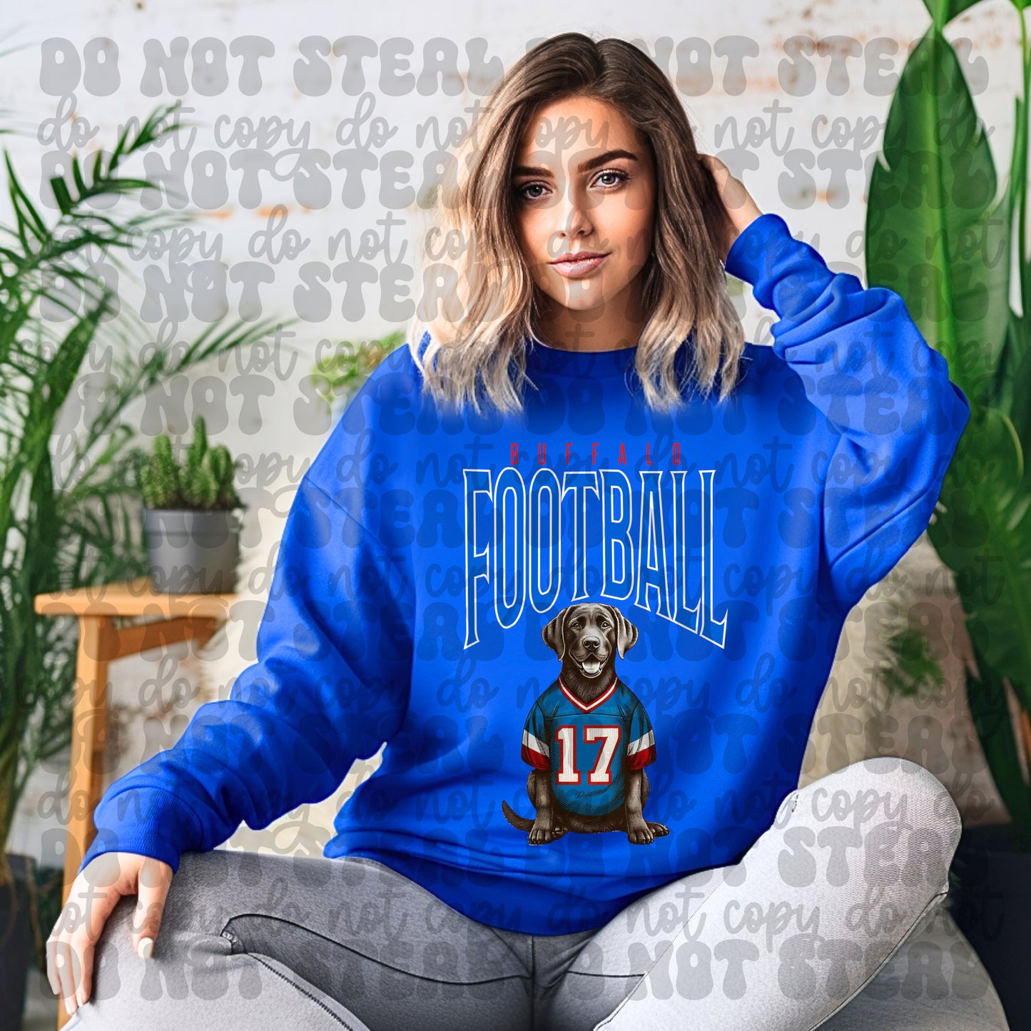 Buffalo Football Silver Lab